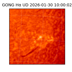 gong - 2026-01-30T10:00:02