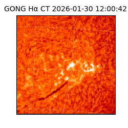 gong - 2026-01-30T12:00:42