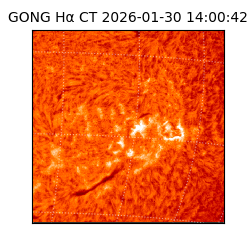 gong - 2026-01-30T14:00:42