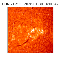 gong - 2026-01-30T16:00:42