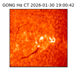 gong - 2026-01-30T19:00:42