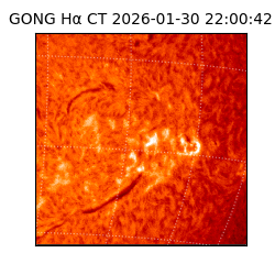 gong - 2026-01-30T22:00:42