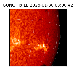 gong - 2026-01-30T03:00:42