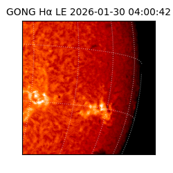 gong - 2026-01-30T04:00:42