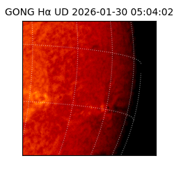 gong - 2026-01-30T05:04:02
