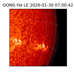 gong - 2026-01-30T07:00:42