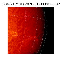 gong - 2026-01-30T08:00:02