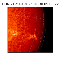 gong - 2026-01-30T09:00:22