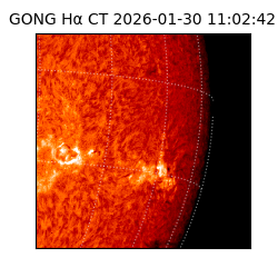 gong - 2026-01-30T11:02:42