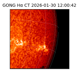 gong - 2026-01-30T12:00:42