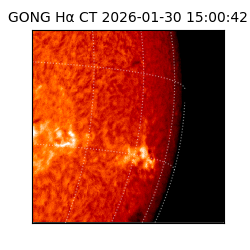 gong - 2026-01-30T15:00:42