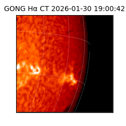 gong - 2026-01-30T19:00:42