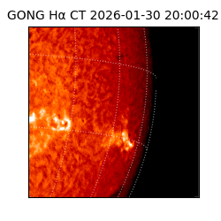 gong - 2026-01-30T20:00:42