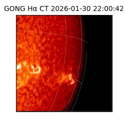 gong - 2026-01-30T22:00:42