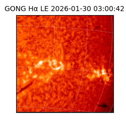 gong - 2026-01-30T03:00:42