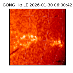 gong - 2026-01-30T06:00:42