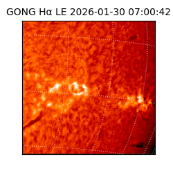 gong - 2026-01-30T07:00:42