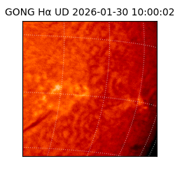 gong - 2026-01-30T10:00:02