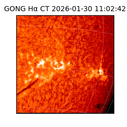 gong - 2026-01-30T11:02:42