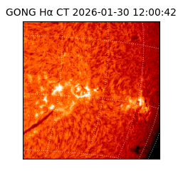 gong - 2026-01-30T12:00:42