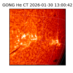 gong - 2026-01-30T13:00:42