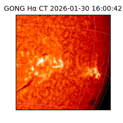 gong - 2026-01-30T16:00:42