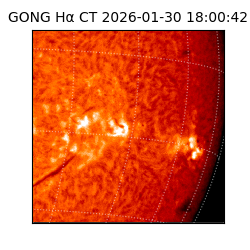 gong - 2026-01-30T18:00:42