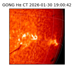 gong - 2026-01-30T19:00:42