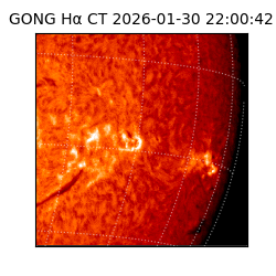 gong - 2026-01-30T22:00:42