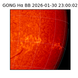 gong - 2026-01-30T23:00:02