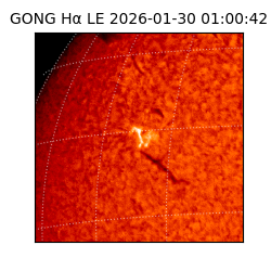 gong - 2026-01-30T01:00:42