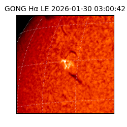 gong - 2026-01-30T03:00:42