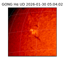 gong - 2026-01-30T05:04:02