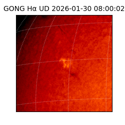 gong - 2026-01-30T08:00:02