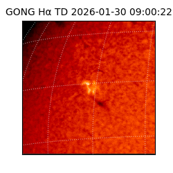 gong - 2026-01-30T09:00:22