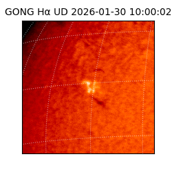 gong - 2026-01-30T10:00:02