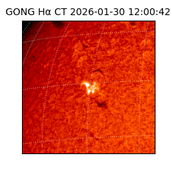 gong - 2026-01-30T12:00:42