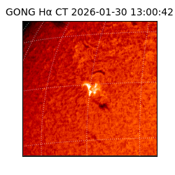 gong - 2026-01-30T13:00:42