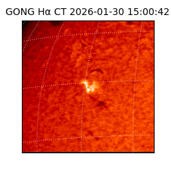 gong - 2026-01-30T15:00:42