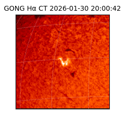 gong - 2026-01-30T20:00:42