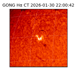 gong - 2026-01-30T22:00:42