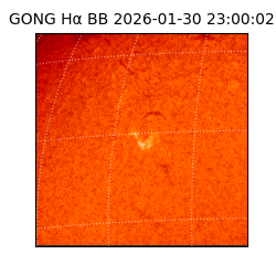 gong - 2026-01-30T23:00:02