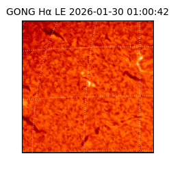 gong - 2026-01-30T01:00:42