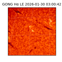 gong - 2026-01-30T03:00:42