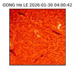 gong - 2026-01-30T04:00:42