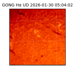 gong - 2026-01-30T05:04:02