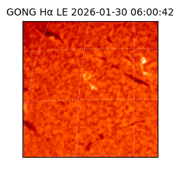 gong - 2026-01-30T06:00:42