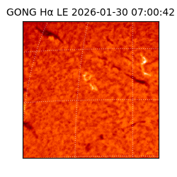 gong - 2026-01-30T07:00:42