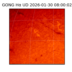 gong - 2026-01-30T08:00:02