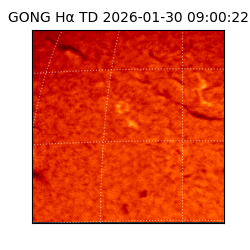 gong - 2026-01-30T09:00:22